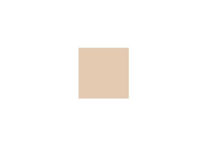 Peinture silicone acrylique Adam Materiaux TO.BR007 Y 64% 10L