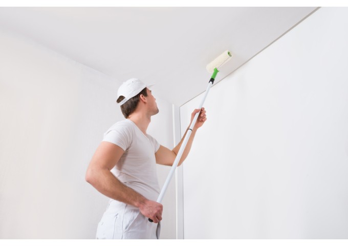 Peinture BL011 Y50 Latex Mate Intérieure Adam Materiaux murs et plafonds seau 5L