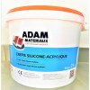 Crepis 1mm Silicone acrylique Adam Materiaux Blanc A Seau 25kg