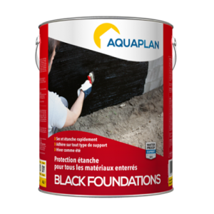 Black Foundations 4 L