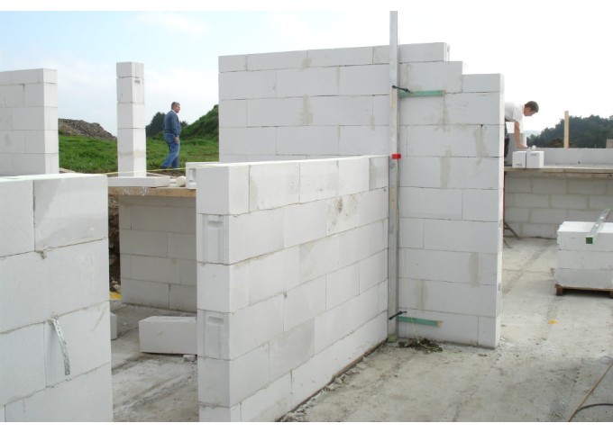 Bloc Cellulaire Lemga 60x10x40cm PLEIN GG4 pièce